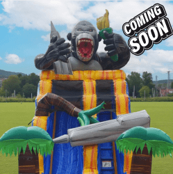 Untitled20design2012 1764731915 24 Foot Kong’s Liberty Drop Water Slide