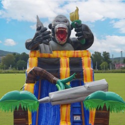 IMG 6272 1773099606 24 Foot King Kong’s Liberty Drop Water Slide